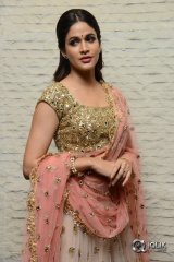 Lavanya Tripathi At Vunnadhi Okate Zindagi Movie Pre Release Function